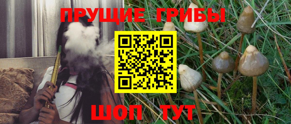 Шарыпово  Псилоцибиновые грибы прущие грибы  Вход с VPN 