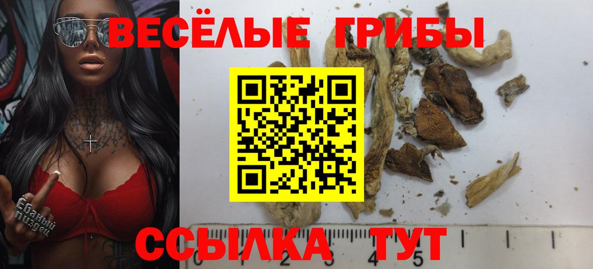 Галлюциногенные грибы GOLDEN TEACHER Шарыпово